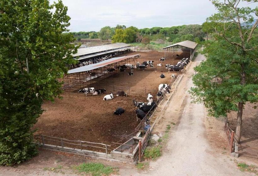 Agriturismo Pantano Borghese