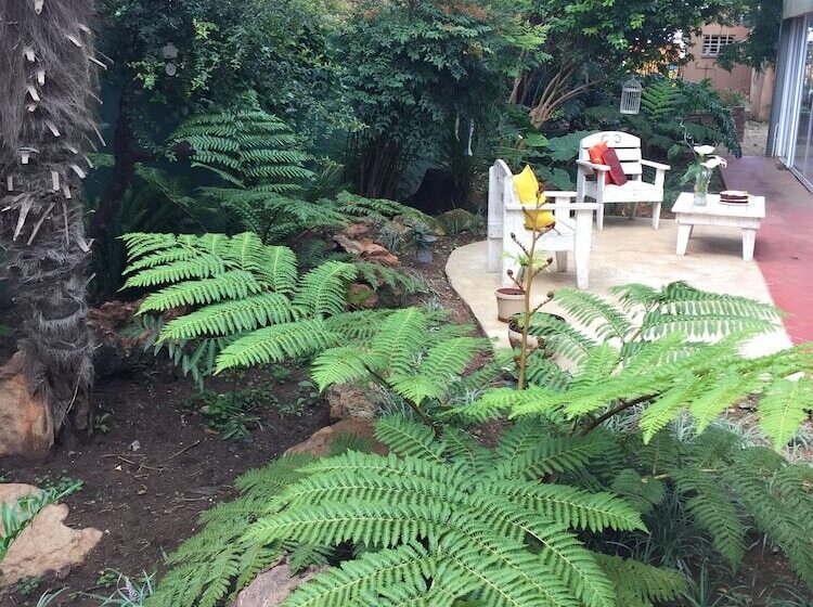 הוסטל Elsjes Guesthouse