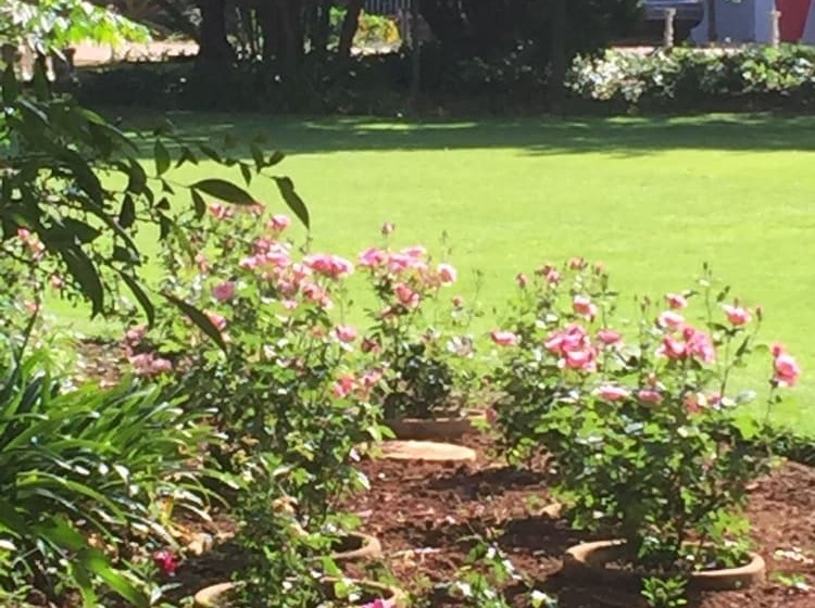 הוסטל Elsjes Guesthouse