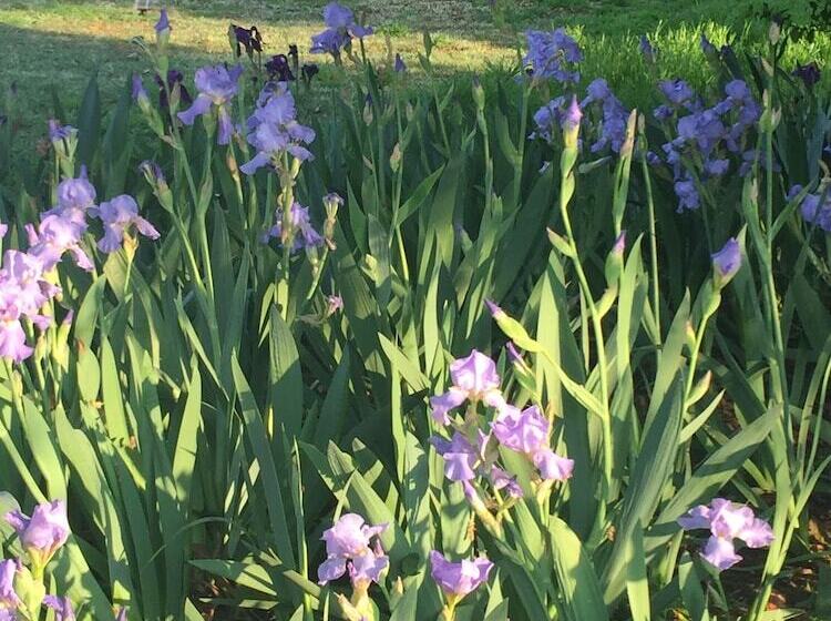 הוסטל Elsjes Guesthouse