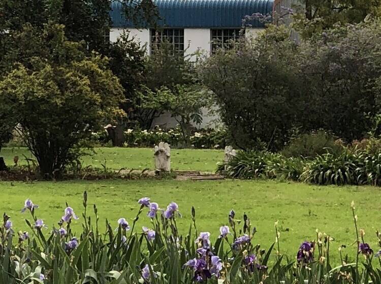 הוסטל Elsjes Guesthouse