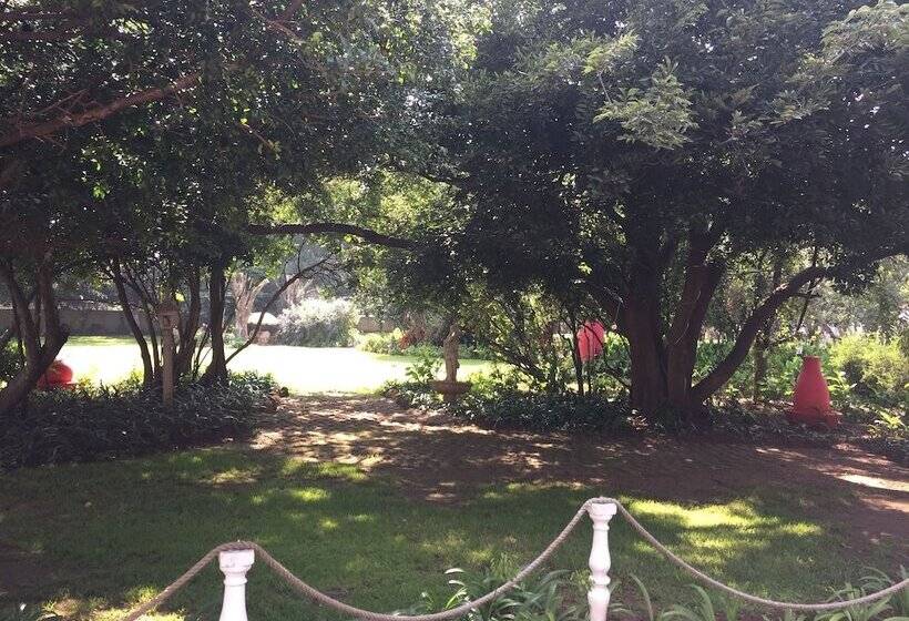 הוסטל Elsjes Guesthouse