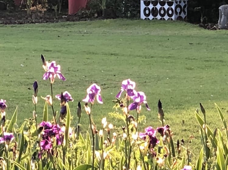 הוסטל Elsjes Guesthouse