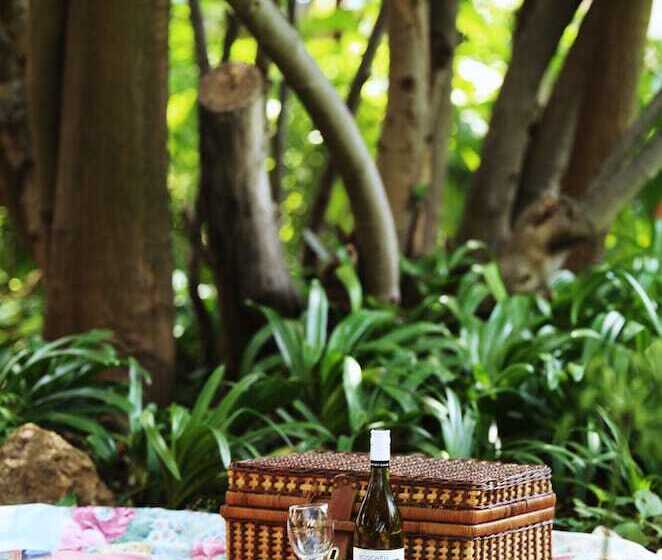 הוסטל Elsjes Guesthouse