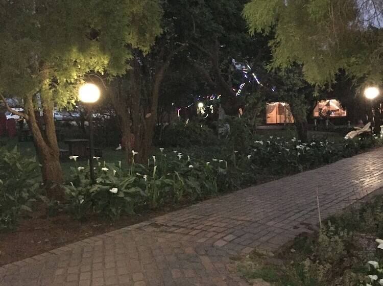 הוסטל Elsjes Guesthouse