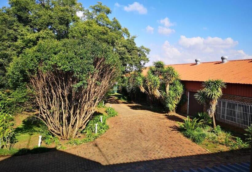 הוסטל Elsjes Guesthouse