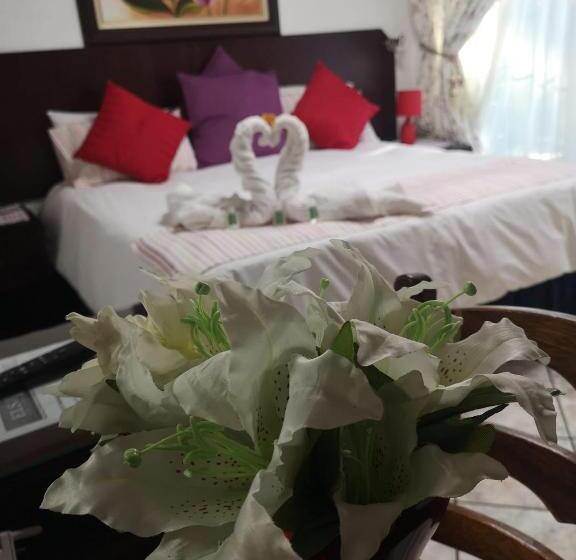 הוסטל Elsjes Guesthouse