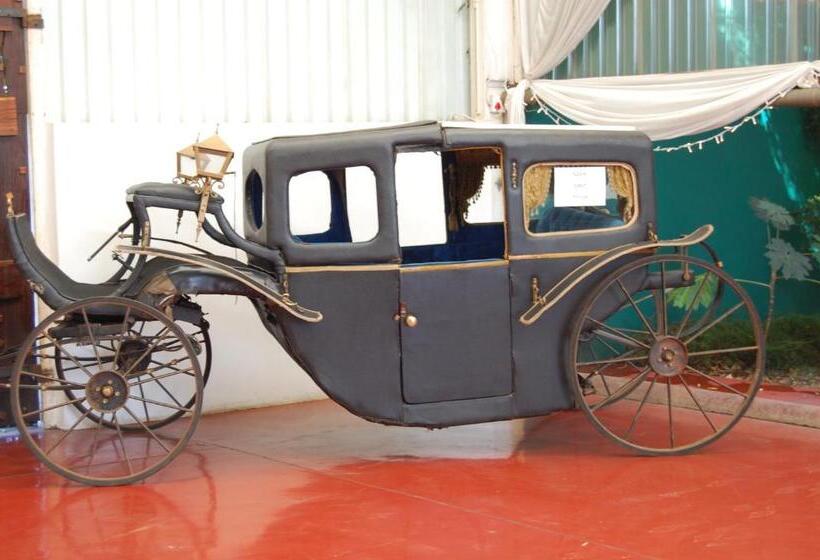 הוסטל Elsjes Guesthouse