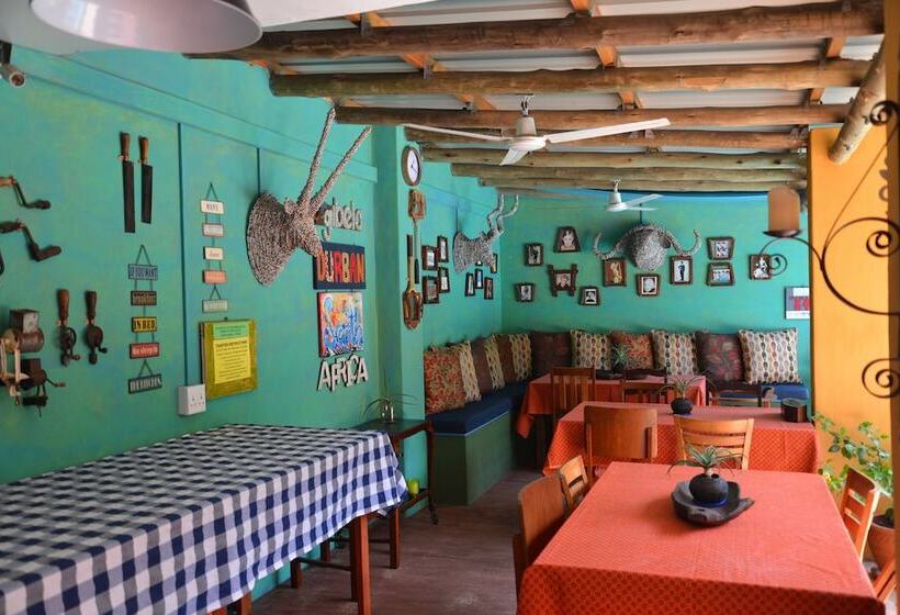 旅馆 Gibela Backpackers Lodge Durban