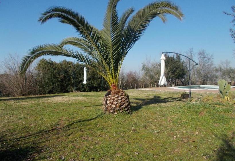 ベッドアンドブレックファースト Casa Degli Ulivi