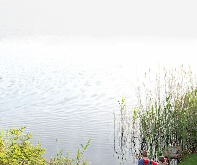 تختخواب و صبحانه Serendipity Country House & Restaurant