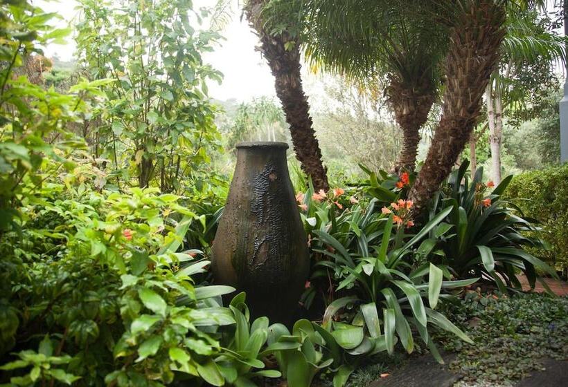 تختخواب و صبحانه Serendipity Country House & Restaurant