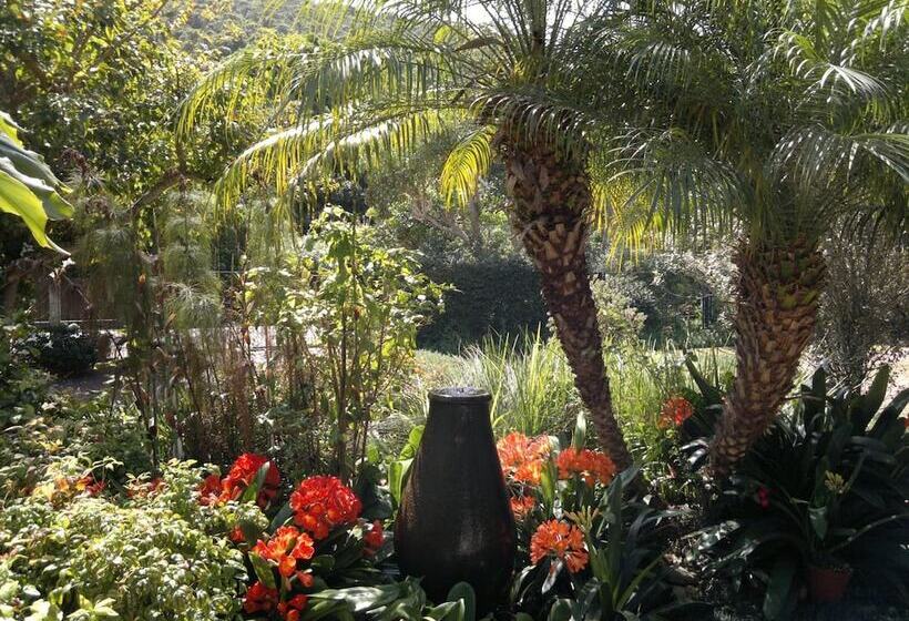 تختخواب و صبحانه Serendipity Country House & Restaurant