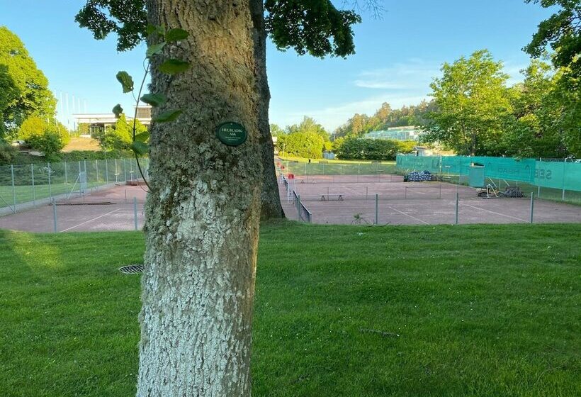 Café Mandeltårtan B&b Villafloraviola