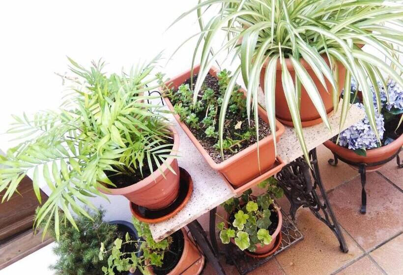 Hostal La Ribera Del Júcar