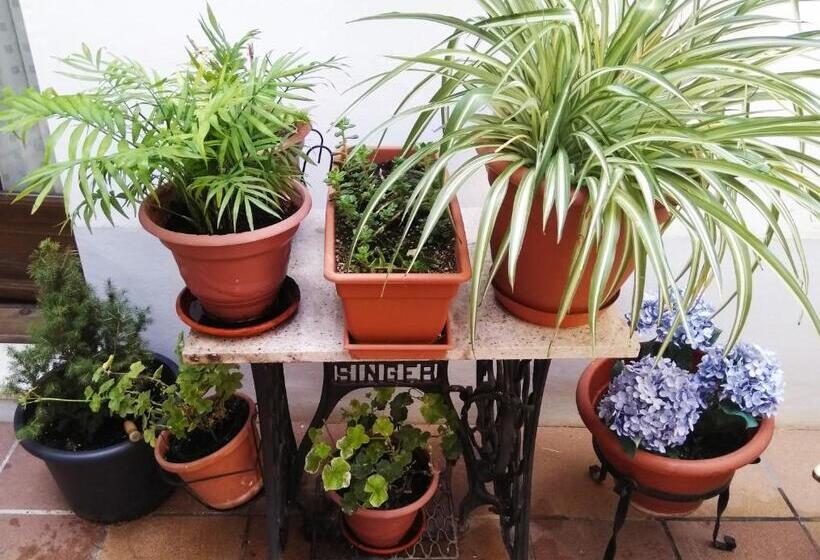 Hostal La Ribera Del Júcar