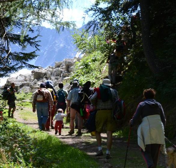 בית מלון כפרי Negritella