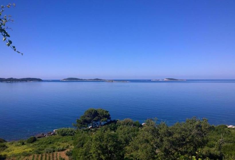 בית מלון כפרי Apartments Lira