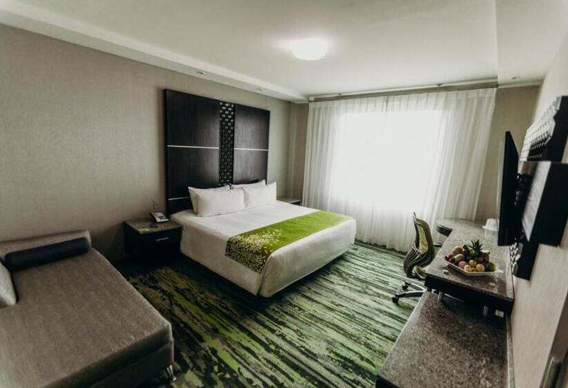 ホテル Araiza San Luis R.c