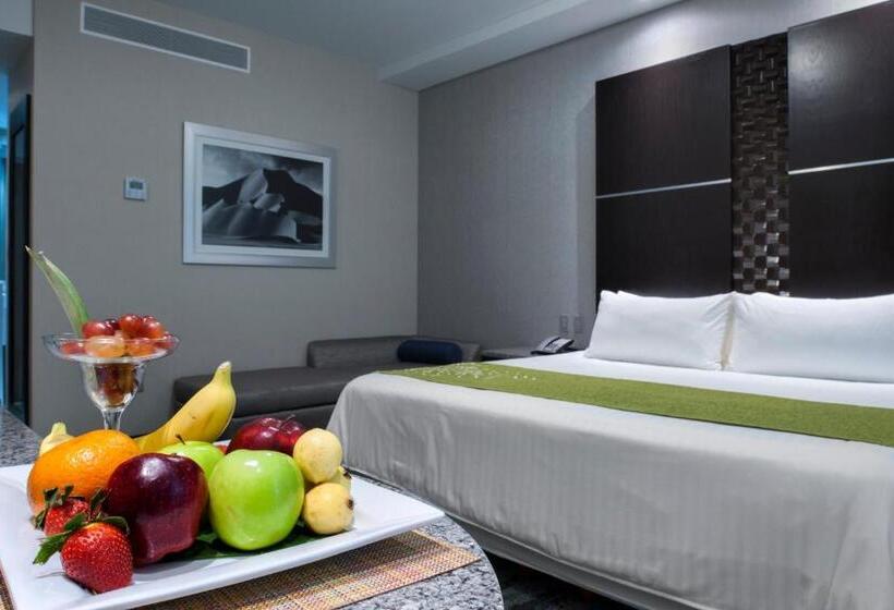 호텔 Araiza San Luis R.c