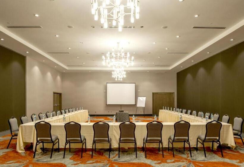 Отель Araiza San Luis R.c