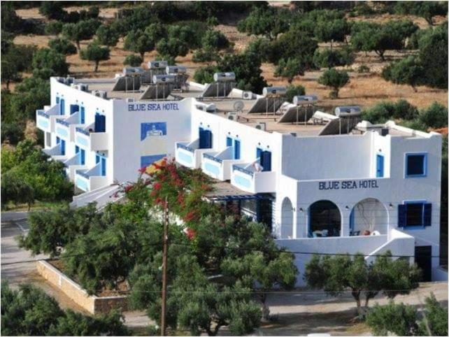 فندق Blue Sea