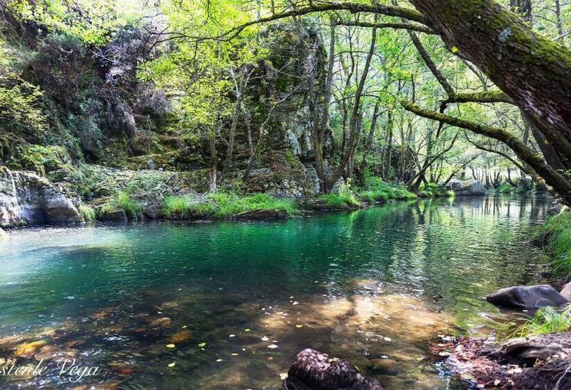 فندق Molina Real