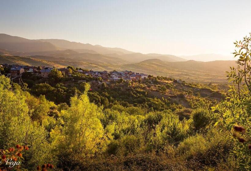 فندق Molina Real