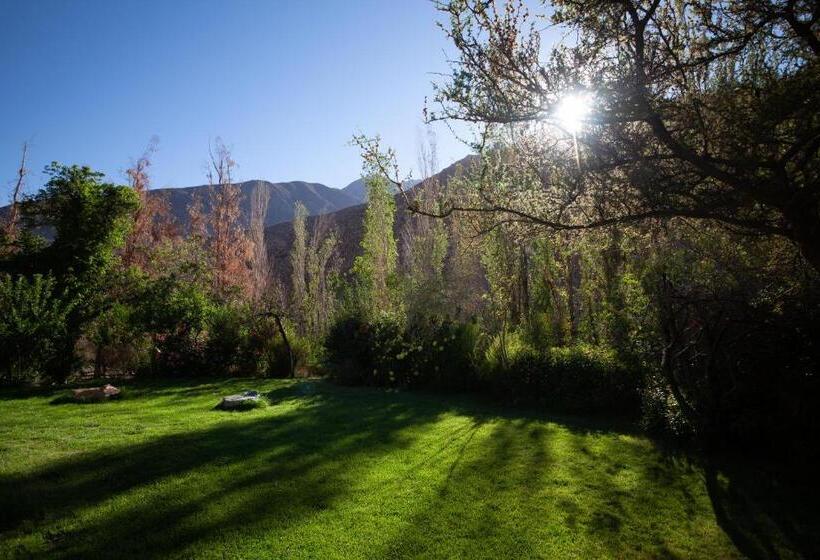 فندق Casona Distante