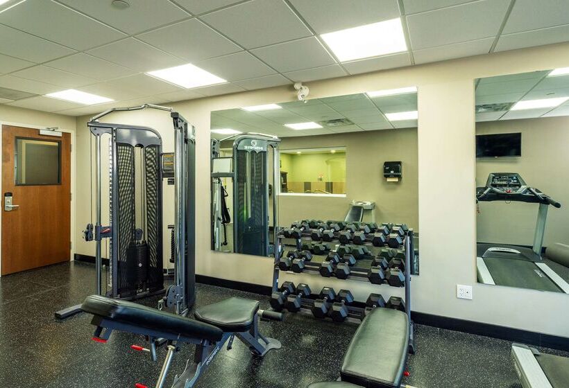 בית מלון כפרי Comfort Inn & Suites