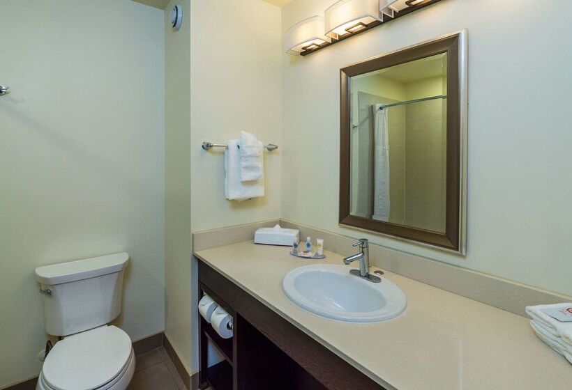 בית מלון כפרי Comfort Inn & Suites