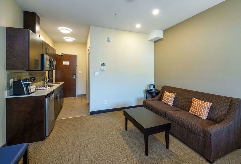 בית מלון כפרי Comfort Inn & Suites