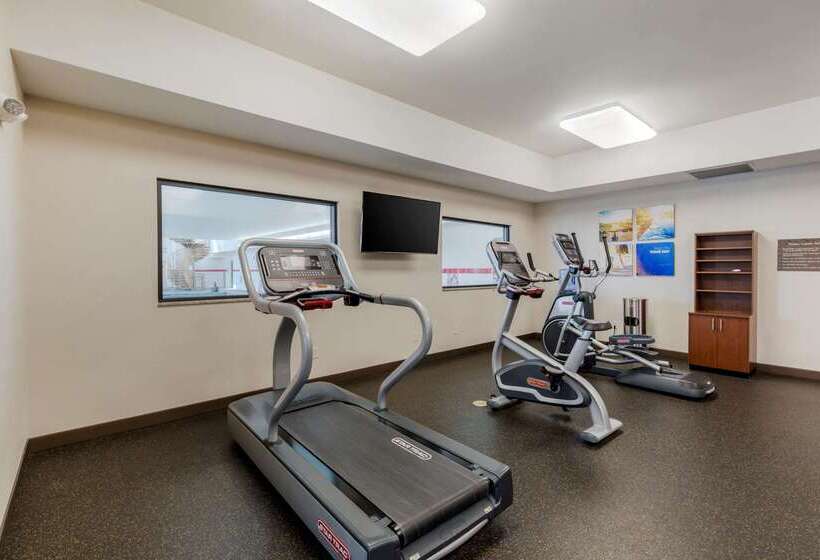 هتل Comfort Suites Loveland