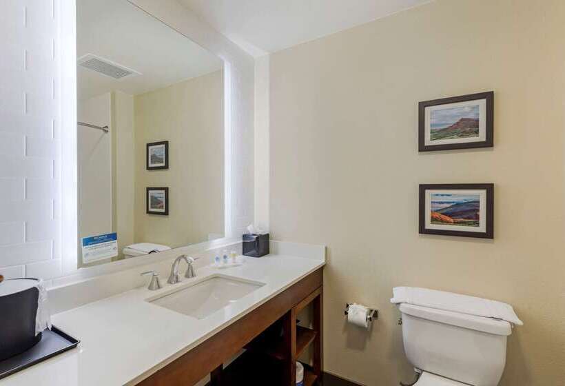 فندق Comfort Suites Loveland