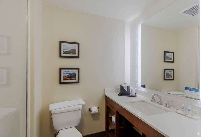 هتل Comfort Suites Loveland