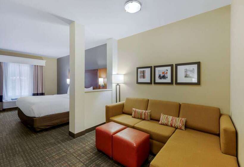 فندق Comfort Suites Loveland