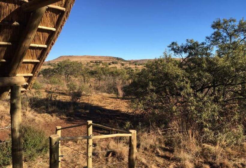 בית מלון כפרי Cradle Boutique