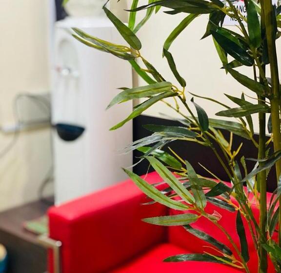 בית מלון כפרי Ct