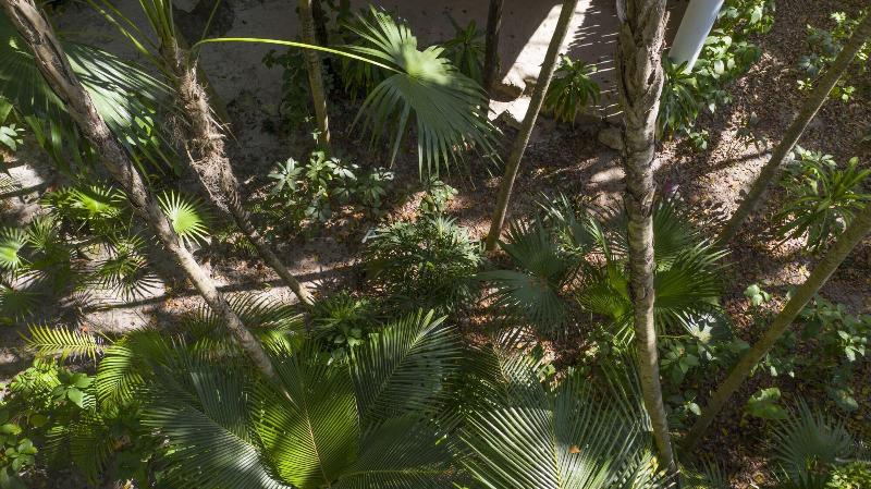 호텔 Dos Ceibas Tulum Feel Good