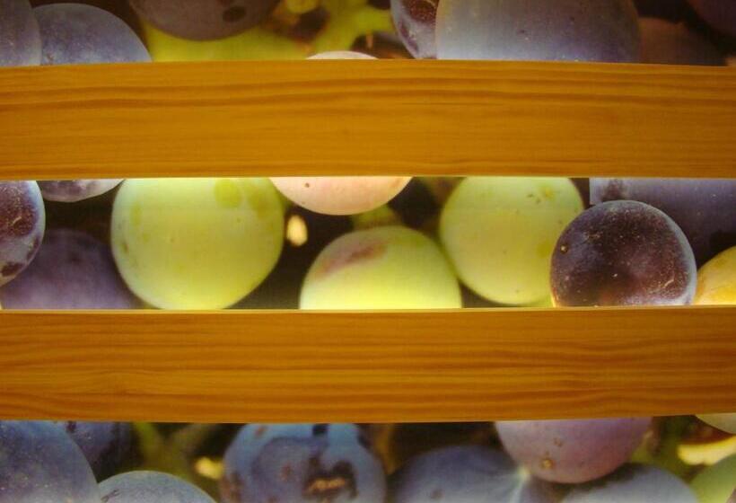 هتل Forum Evolución