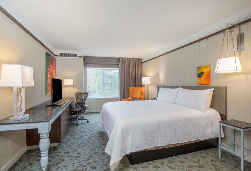فندق Hilton Garden Inn Olympia