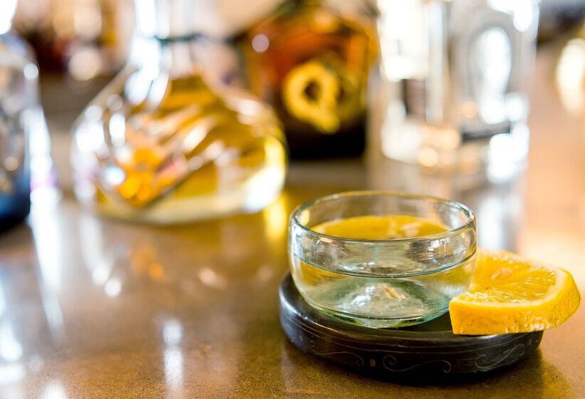 فندق Hyatt Regency Andares Guadalajara