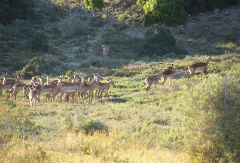 ホテル Kudu Ridge Game Lodge