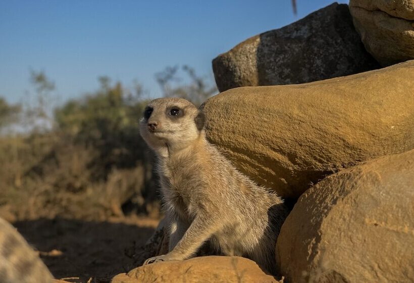 ホテル Kudu Ridge Game Lodge