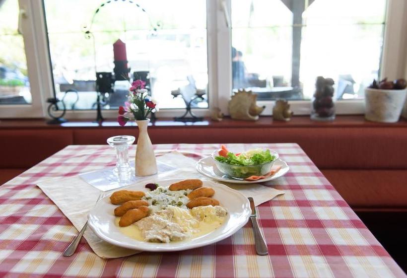 هتل Hostel Vila Bistrica