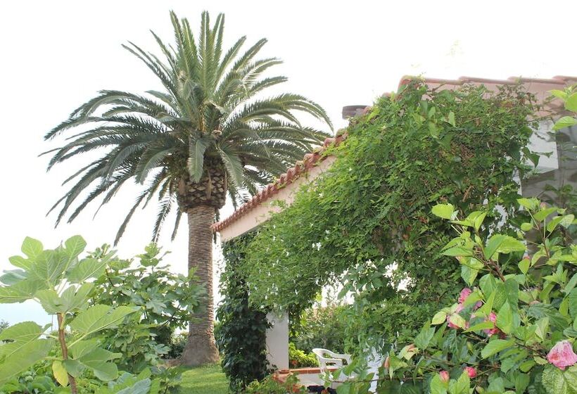 Rosy Hotel Residence