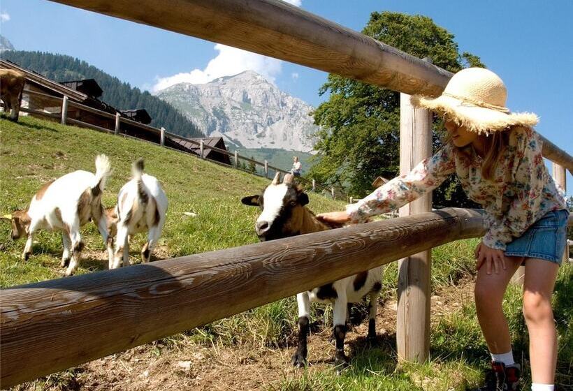 בית מלון כפרי Residence Stefenine