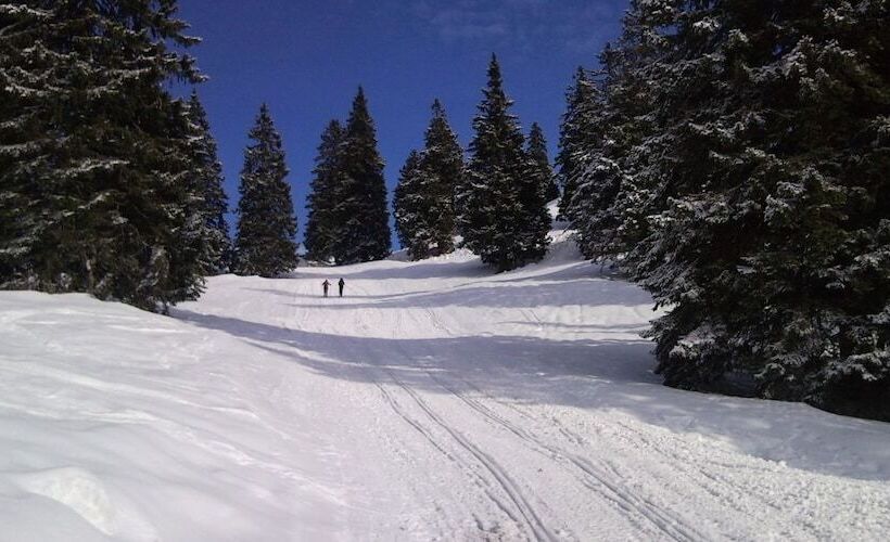 هتل Rooms & Apartments Jana