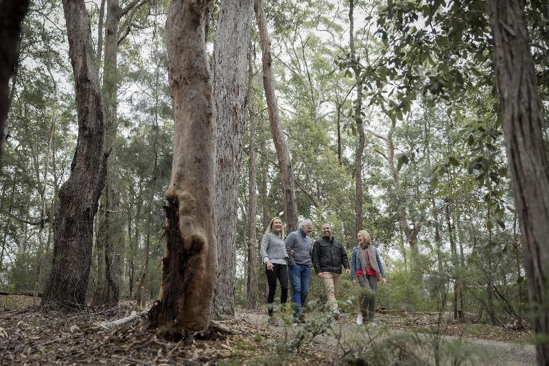 בית מלון כפרי Spicers Sangoma Retreat Adults Only