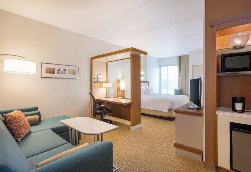 Отель Springhill Suites By Marriott Mount Laurel